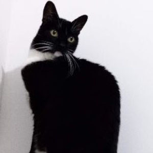 Meet your Posher, Luisa